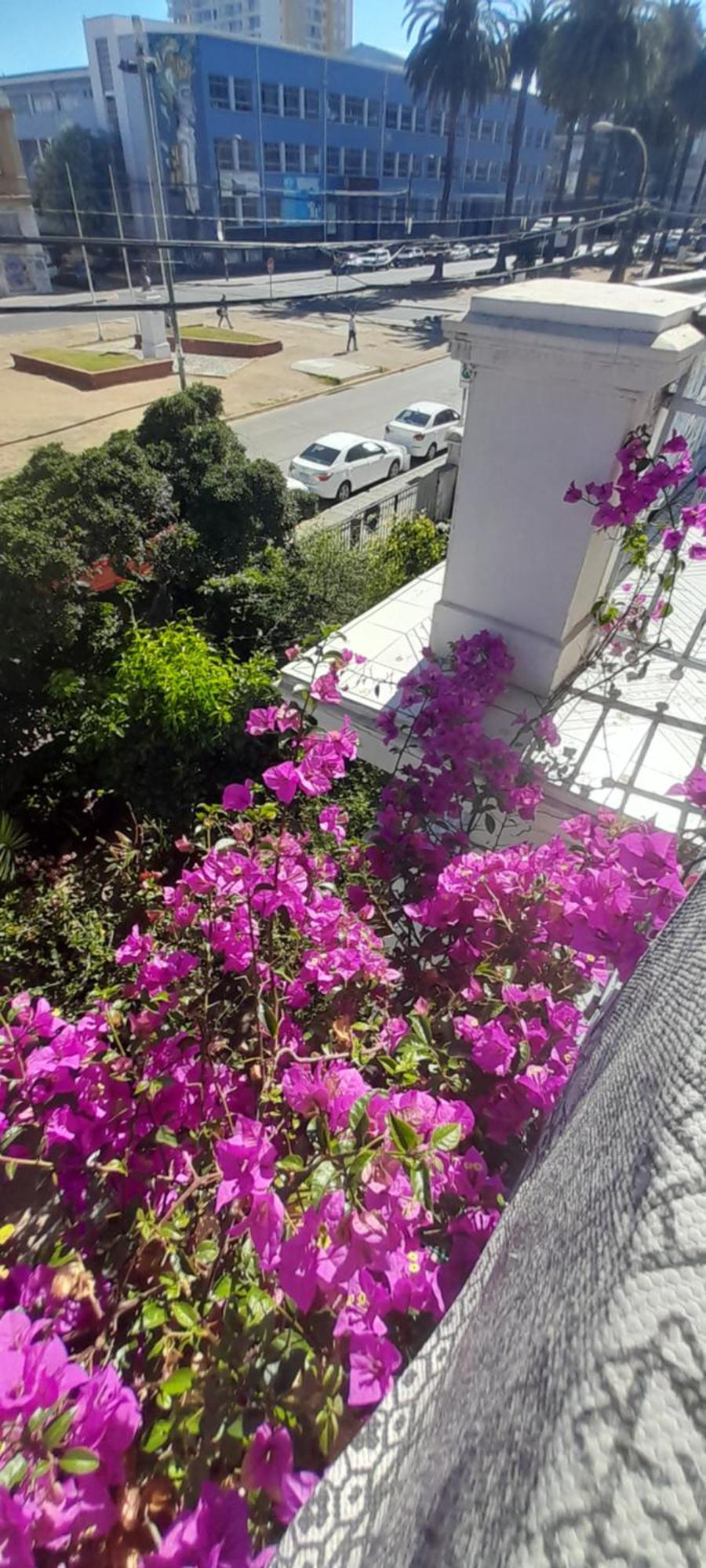 Blanca Rosa Valparaiso B&B Luaran gambar